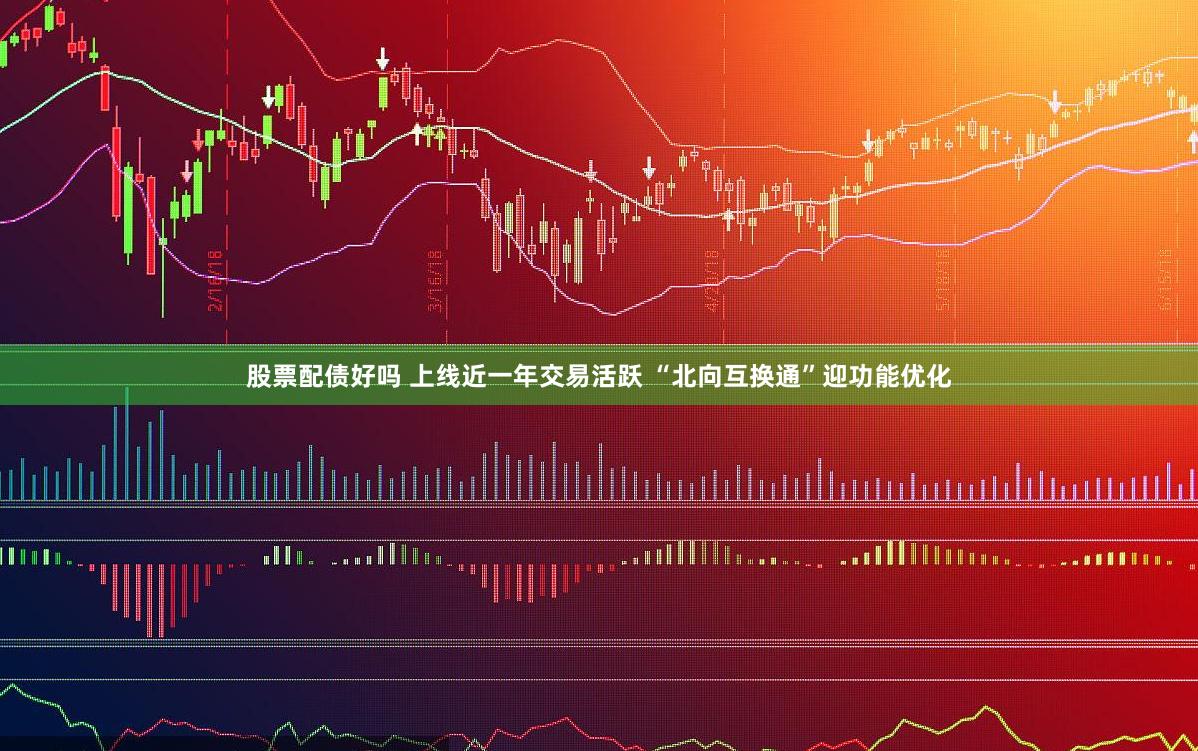 股票配债好吗 上线近一年交易活跃 “北向互换通”迎功能优化