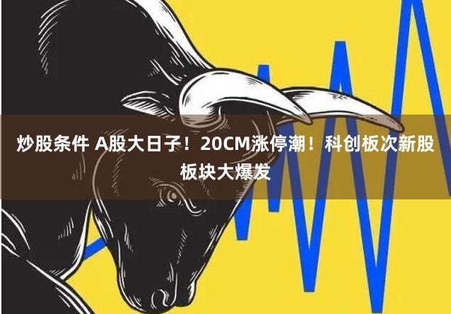 炒股条件 A股大日子！20CM涨停潮！科创板次新股板块大爆发