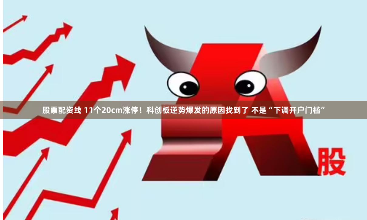 股票配资线 11个20cm涨停！科创板逆势爆发的原因找到了 不是“下调开户门槛”