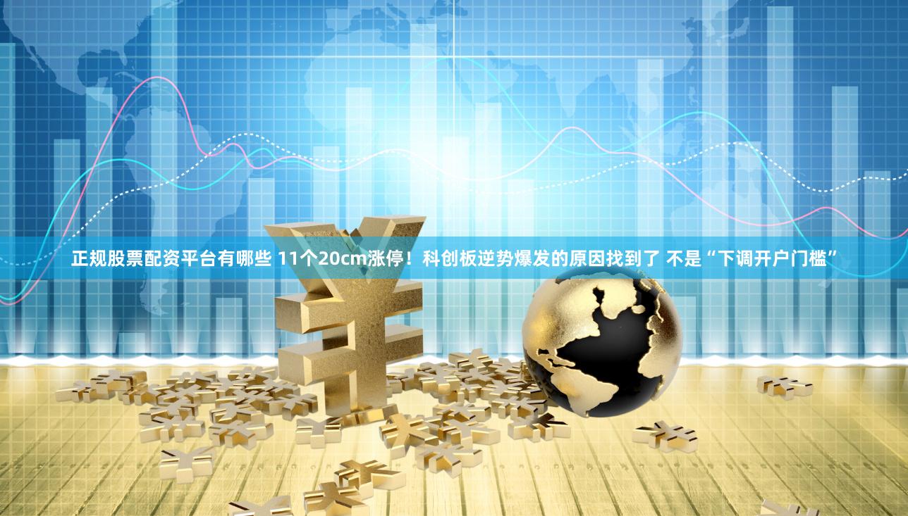 正规股票配资平台有哪些 11个20cm涨停！科创板逆势爆发的原因找到了 不是“下调开户门槛”