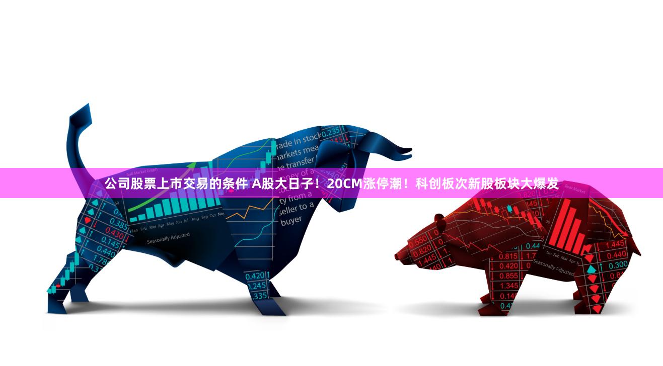 公司股票上市交易的条件 A股大日子！20CM涨停潮！科创板次新股板块大爆发