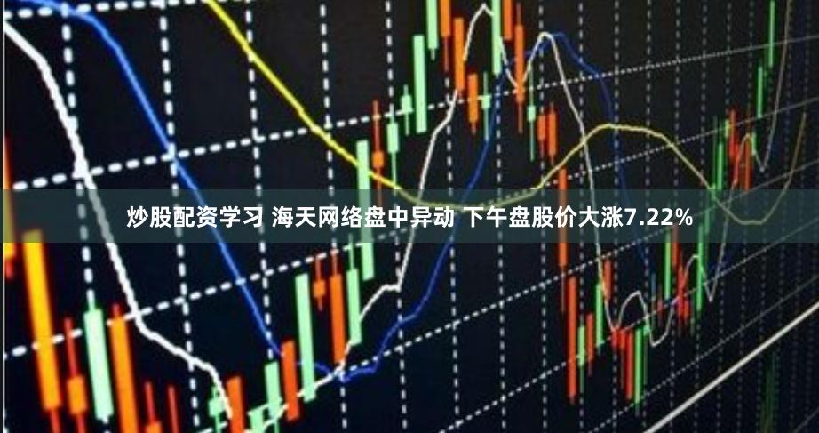 炒股配资学习 海天网络盘中异动 下午盘股价大涨7.22%