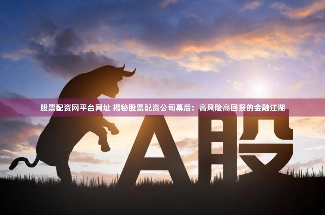 股票配资网平台网址 揭秘股票配资公司幕后：高风险高回报的金融江湖